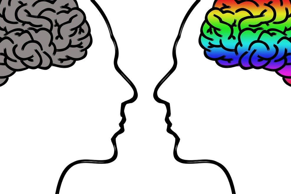 Al parecer, las mujeres tienen un cerebro más activo que los hombres