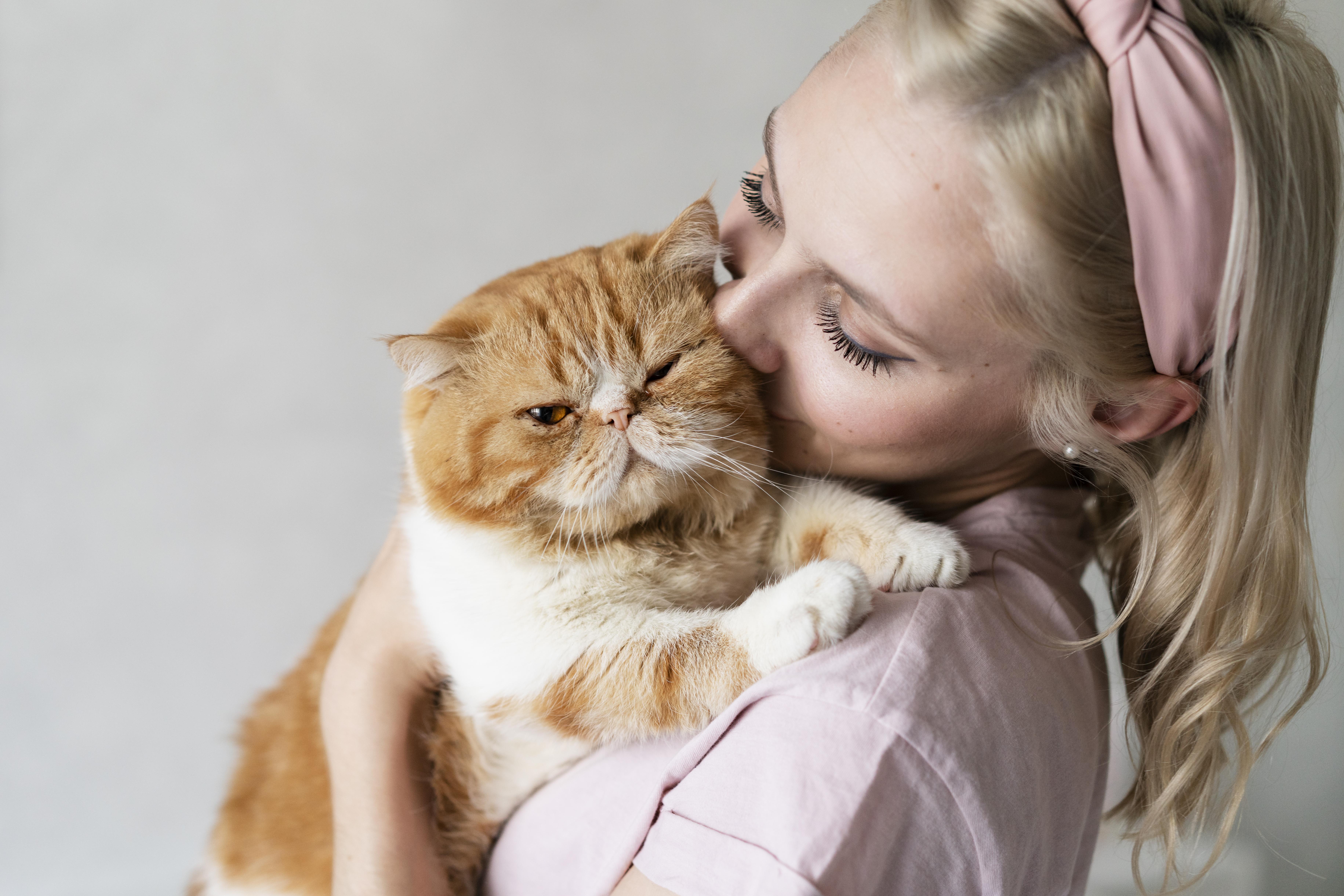 ¿Cómo saber si los gatos te ven como sus papás?