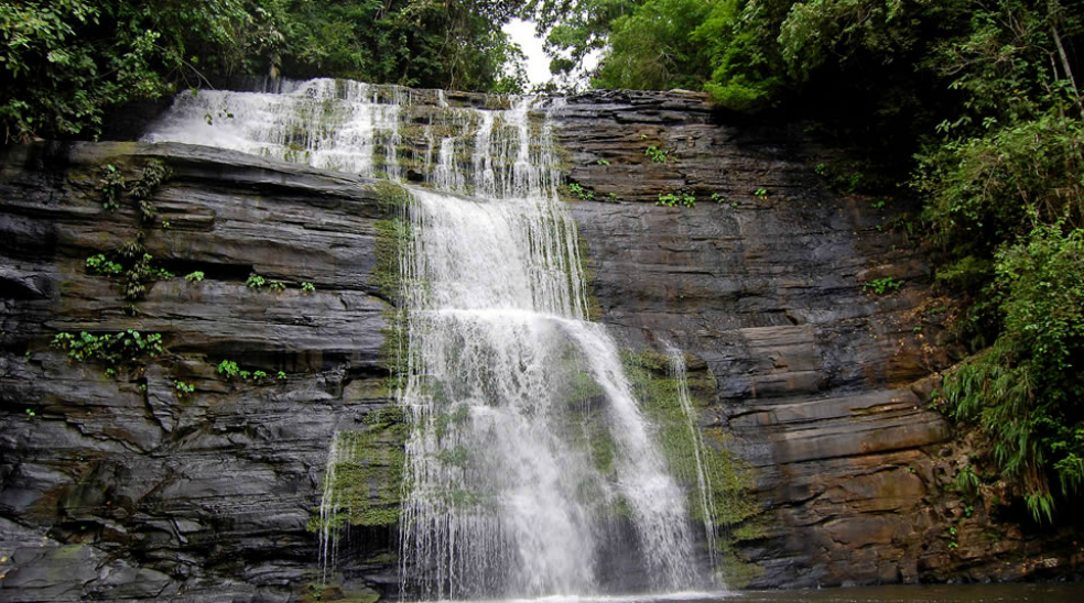 El cambio climático amenaza el patrimonio natural de Suramérica