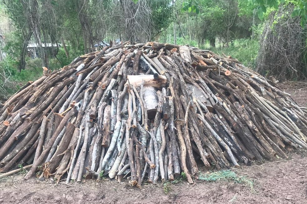 En la hacienda, en el último año, han talado cerca de 100 hectáreas.