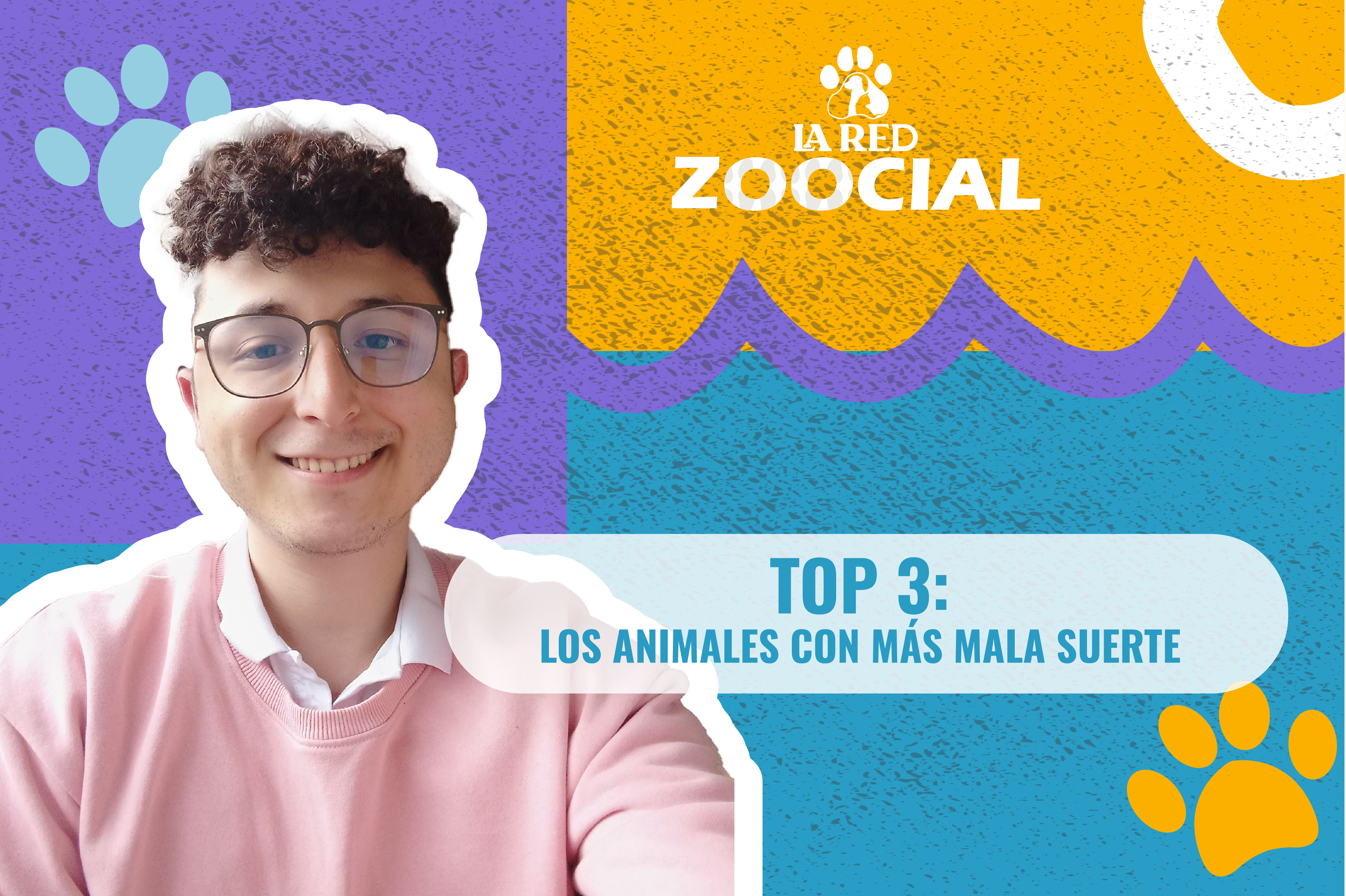 (Video) Top tres de animales con la peor suerte en la naturaleza