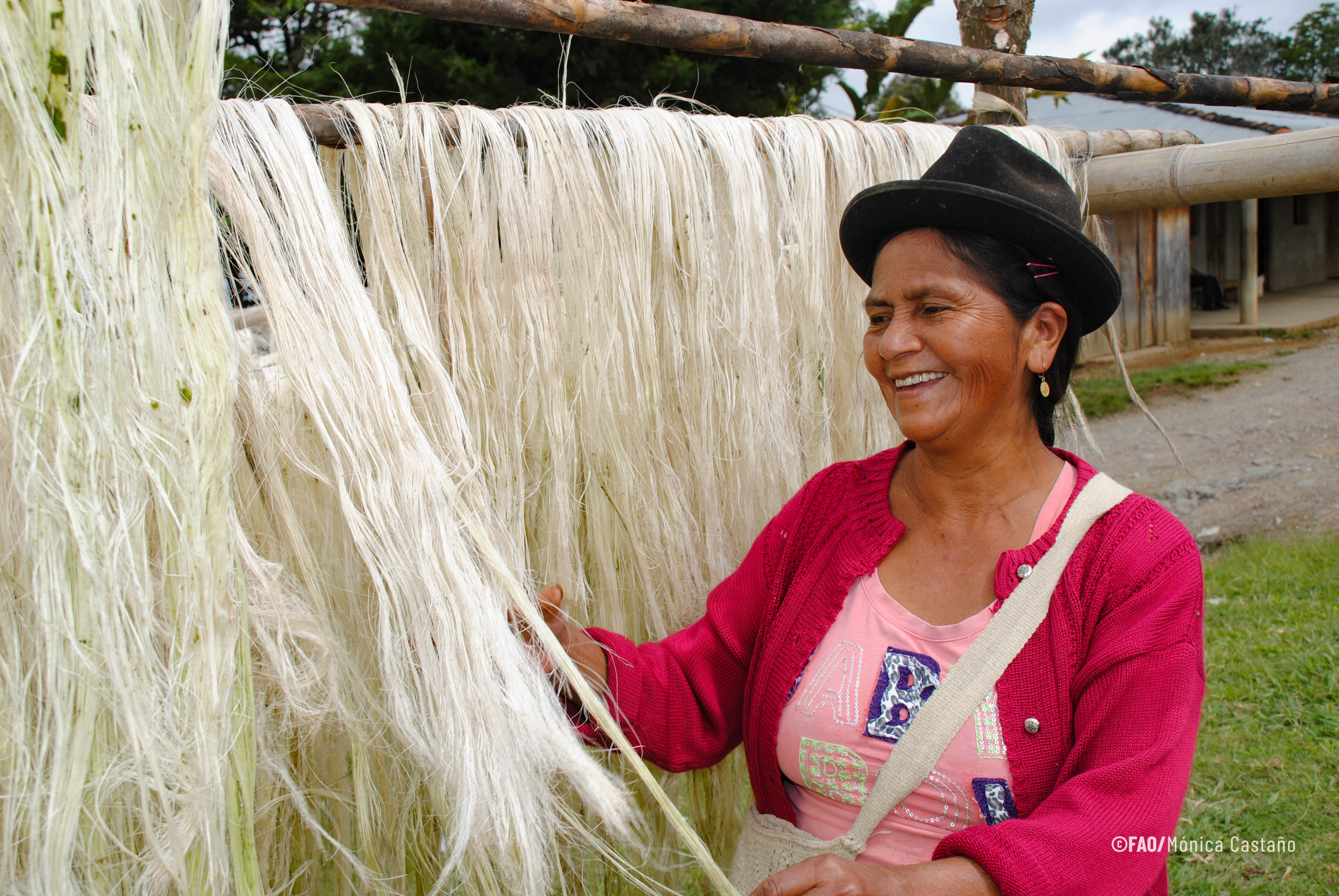 Asistencia Técnica al Desarrollo Rural y Sostenible- FAO.