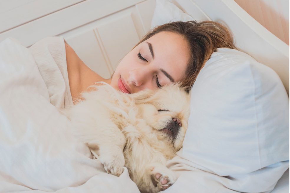 ¿Duermes con tu perro y gato? Descubre si es malo o bueno