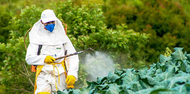 Pesticidas en la vida diaria: dónde están y cómo reducir la exposición