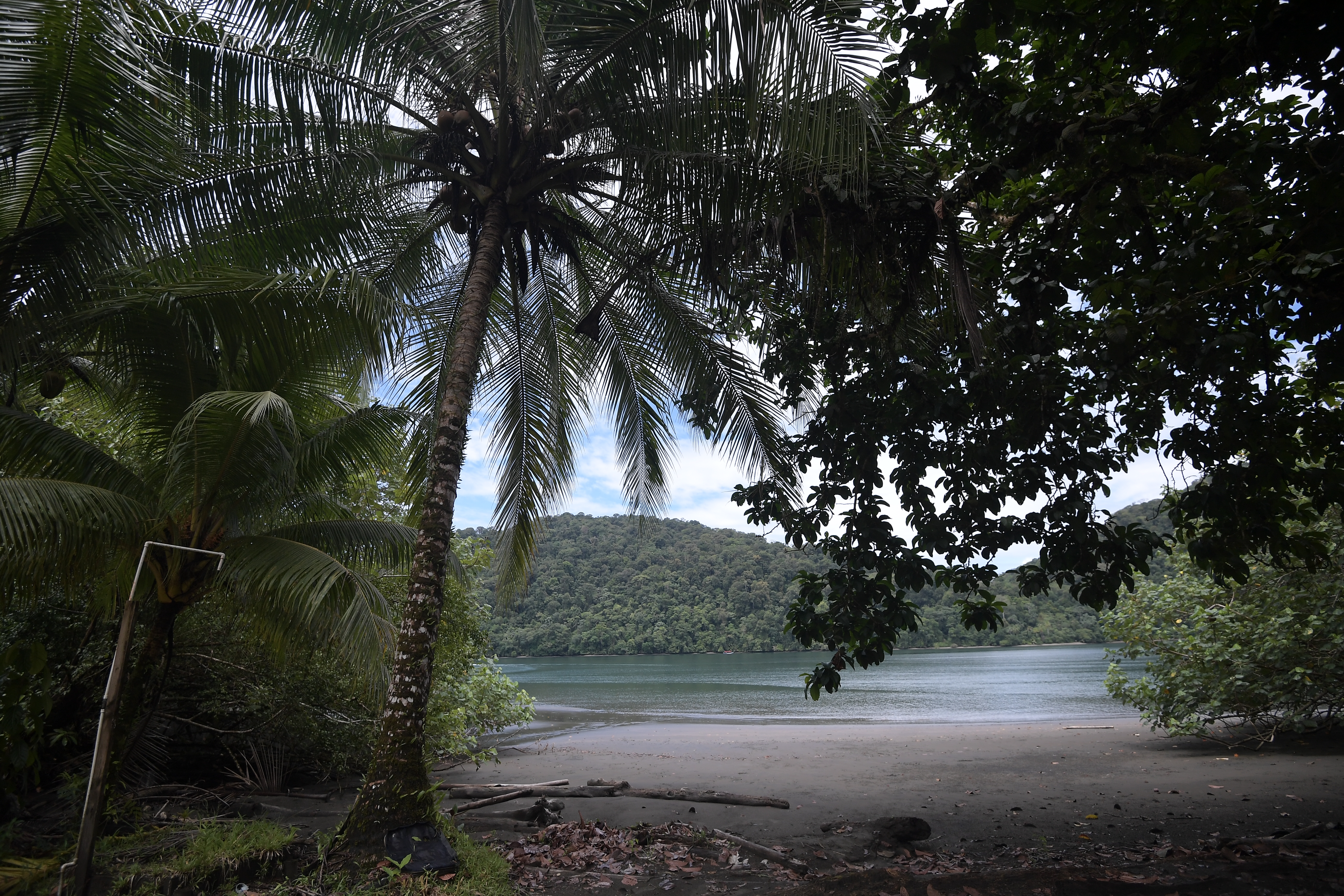 Parque con bosque húmedo tropical, estuarios, manglares, biodiversidad de flora y fauna, ubicado en el municipio de Nuquí, Chocó.