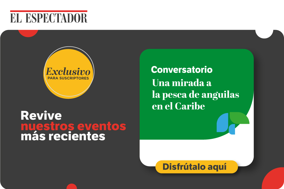 Revive el conversatorio“Una mirada a la pesca de anguilas en el Caribe”