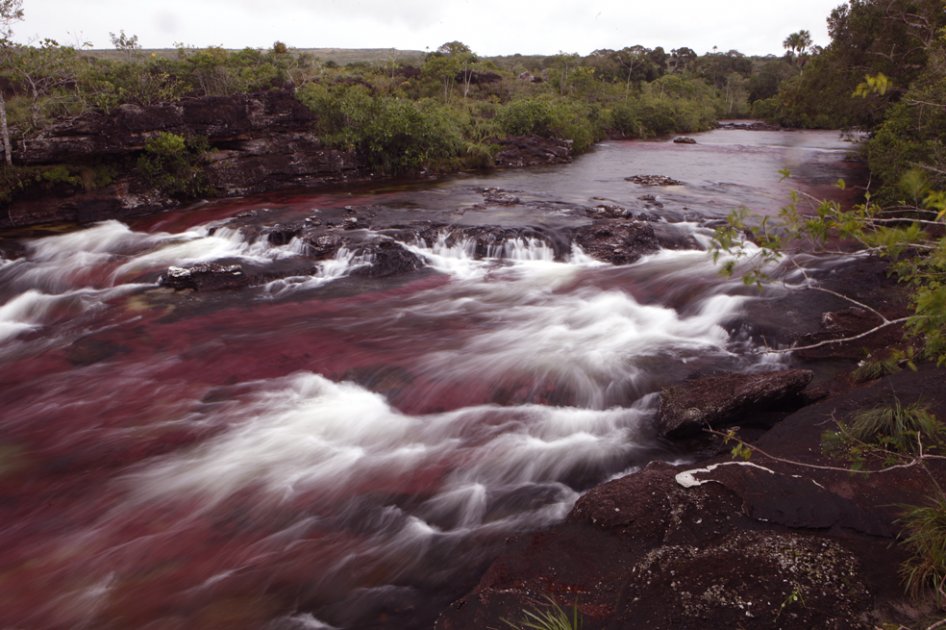 En los más de 100km que tiene el ría, se pueden ver coloridas lagunas e imponentes cascadas. 