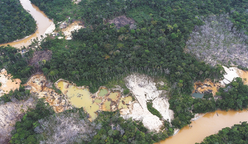 Se dispara la malaria en Venezuela, pero no las alarmas