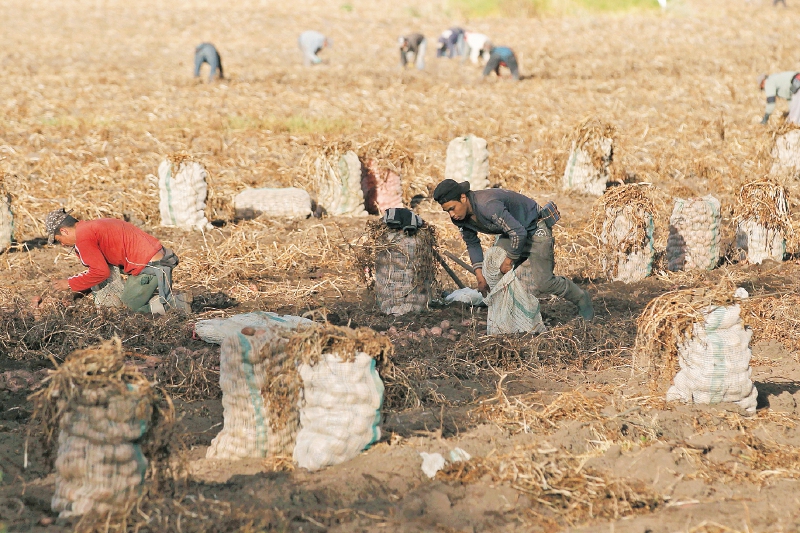 ¿Por qué es importante la agricultura familiar?