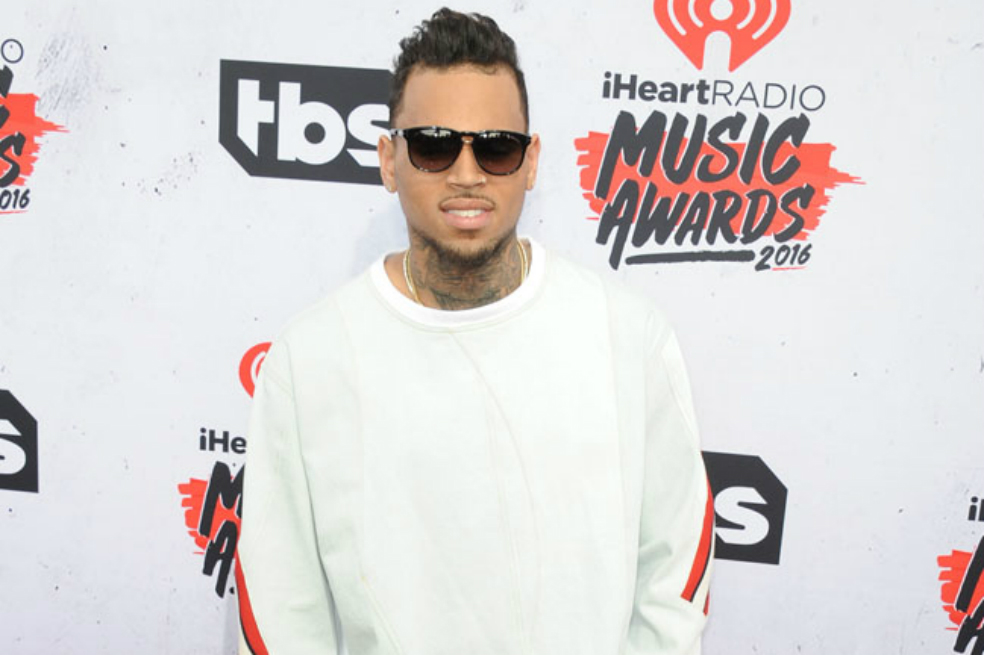 Chris Brown niega ser el dueño del mono capuchino por el que podría volver a prisión