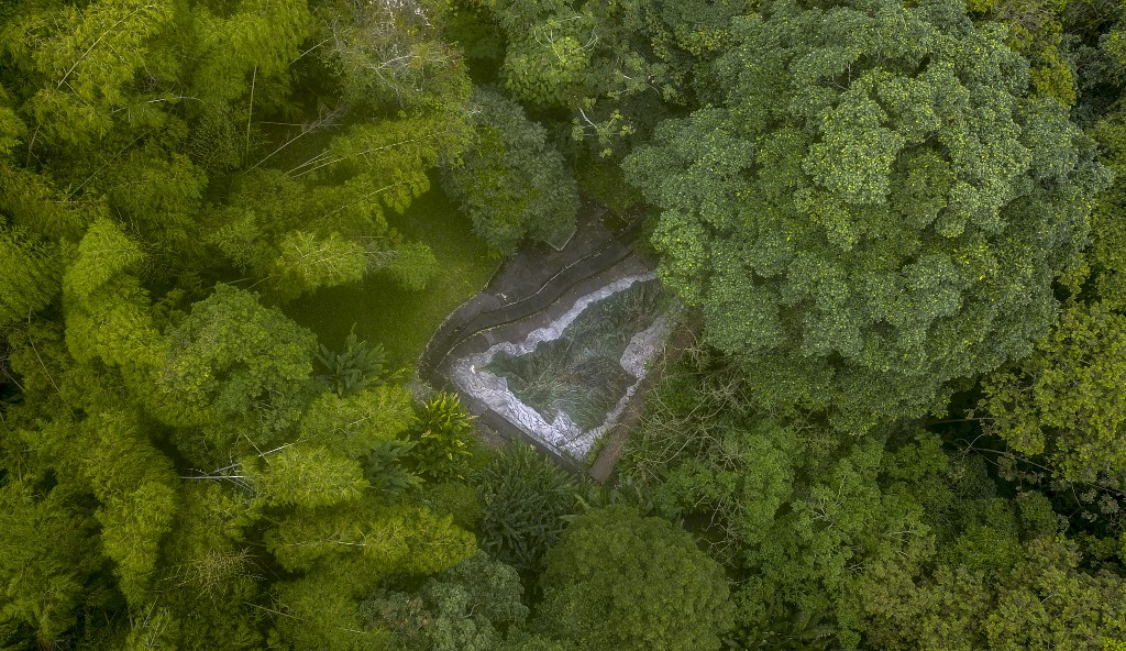 “Los jardines botánicos en Colombia viven en pobreza extrema”: Alberto Gómez