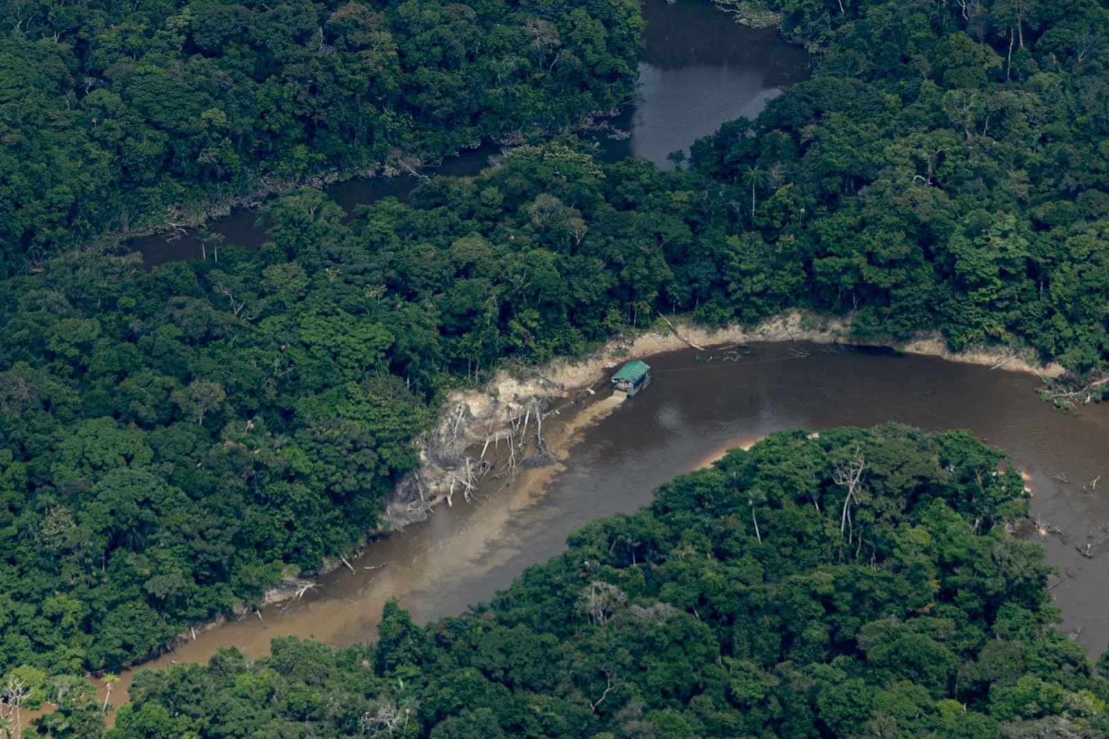 Operación internacional contra delitos ambientales en la Amazonia deja cientos de capturas