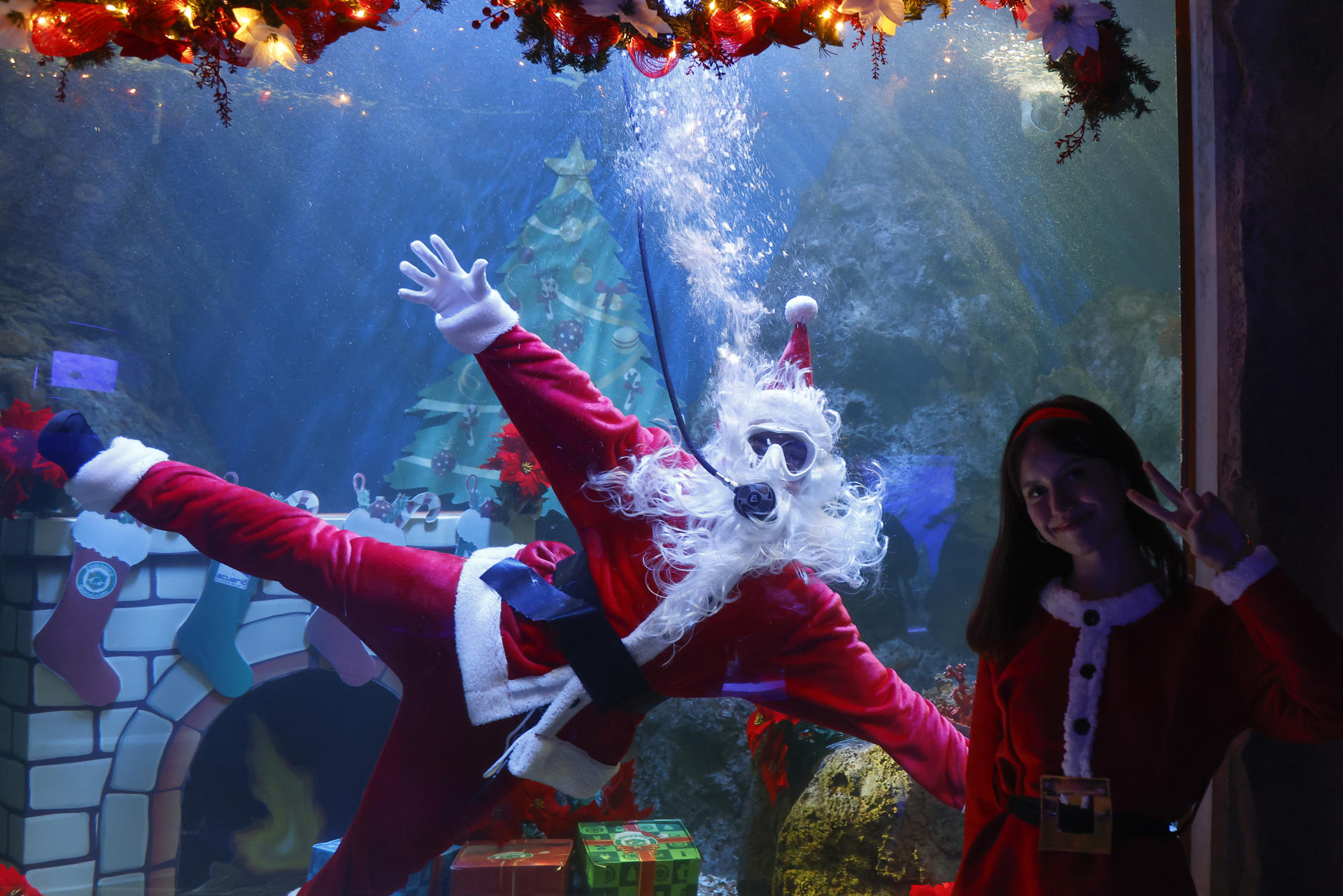 MEX1171. GUADALAJARA (MÉXICO), 12/12/2025.- Una persona vestida de Papá Noel bucea y posa en el Acuario del Zoológico Guadalajara este viernes, en Jalisco (México). EFE/ Francisco Guasco