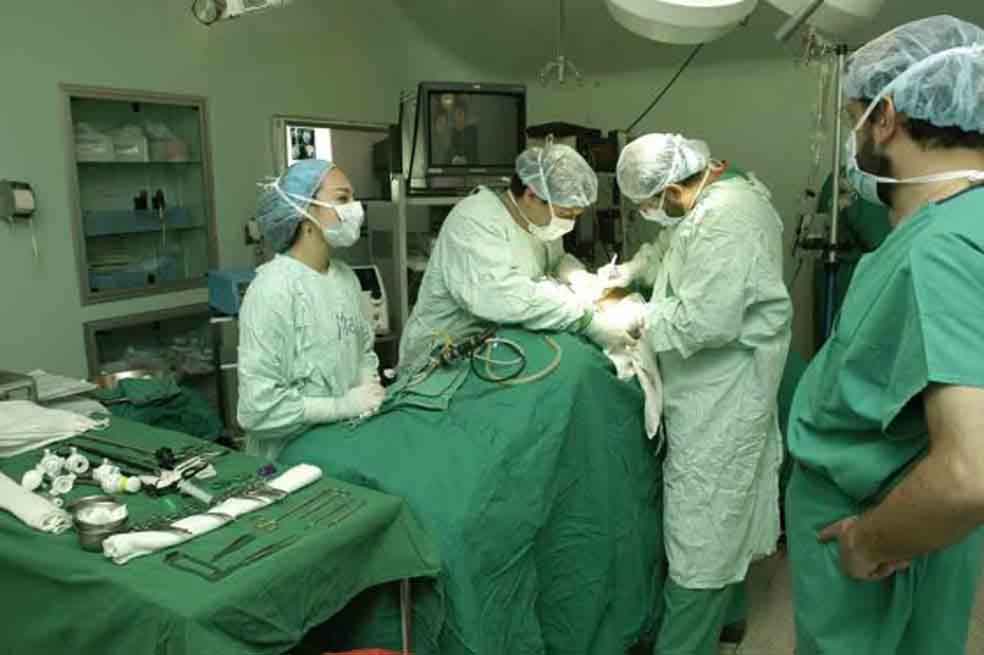 Polémica por donación de órganos a extranjeros