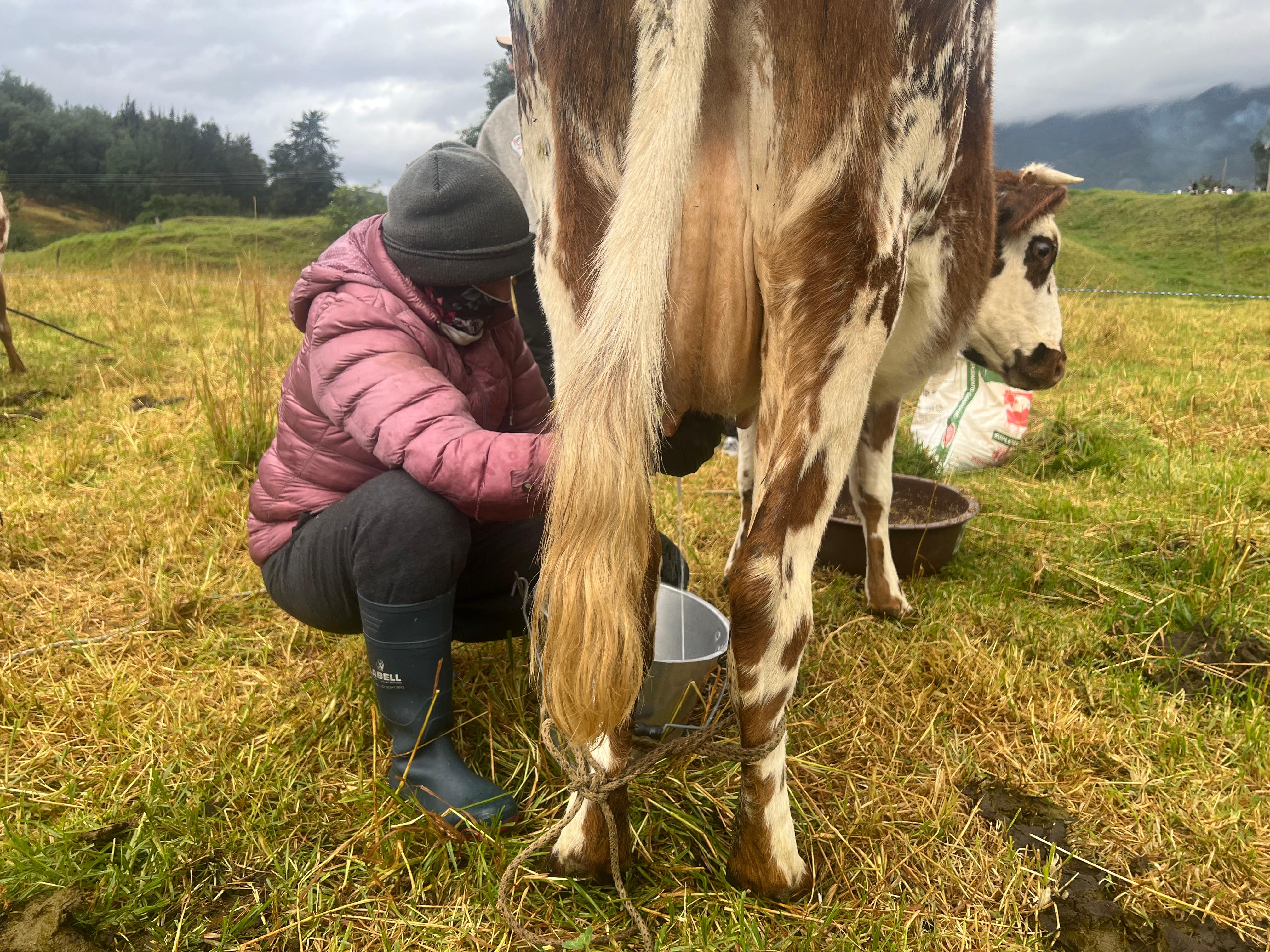 Cerinza, Boyacá