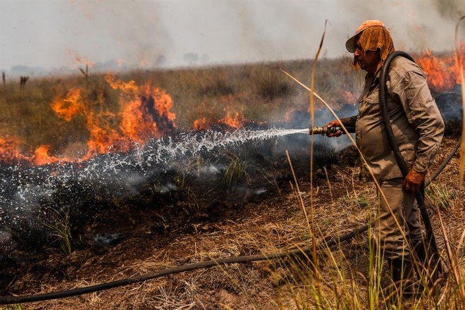 El Gobierno calificó lo sucedido como una "tragedia en términos ecológicos".