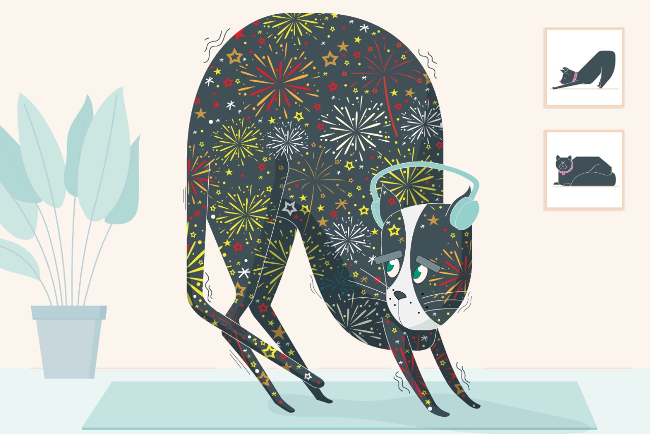 Pirotecnia, la pesadilla de las mascotas en diciembre