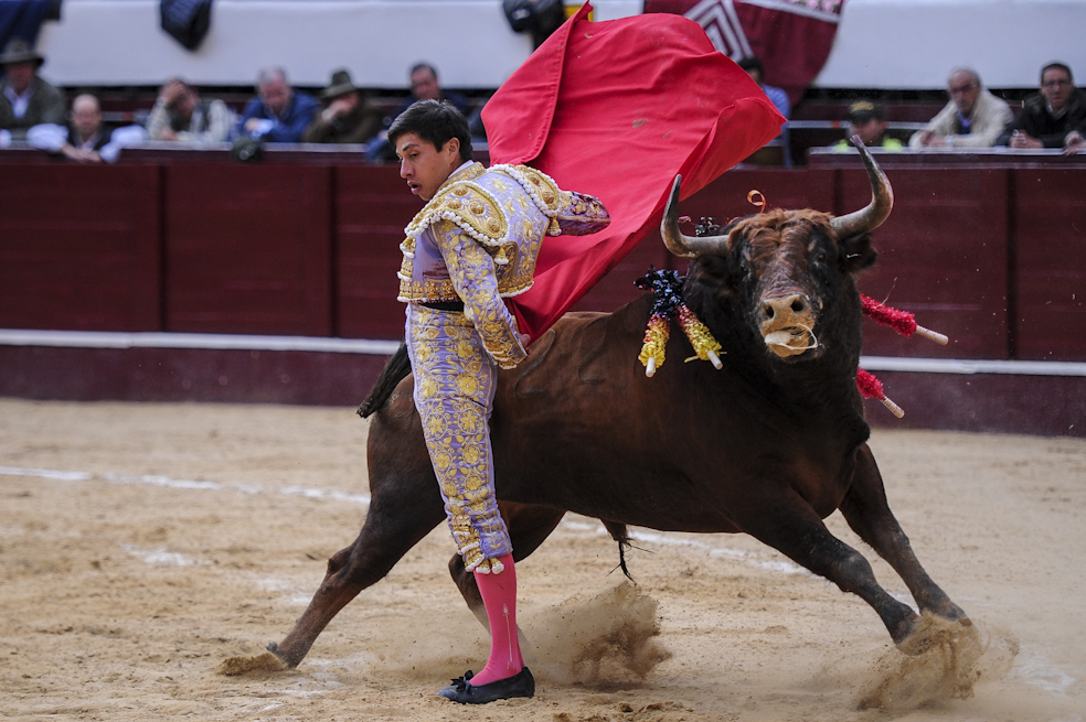 Toros: Tarde para recordar