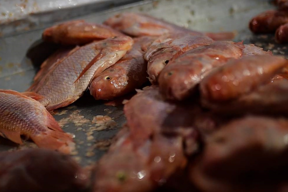 Realizan operativo contra venta de pescado en mal estado en Kennedy