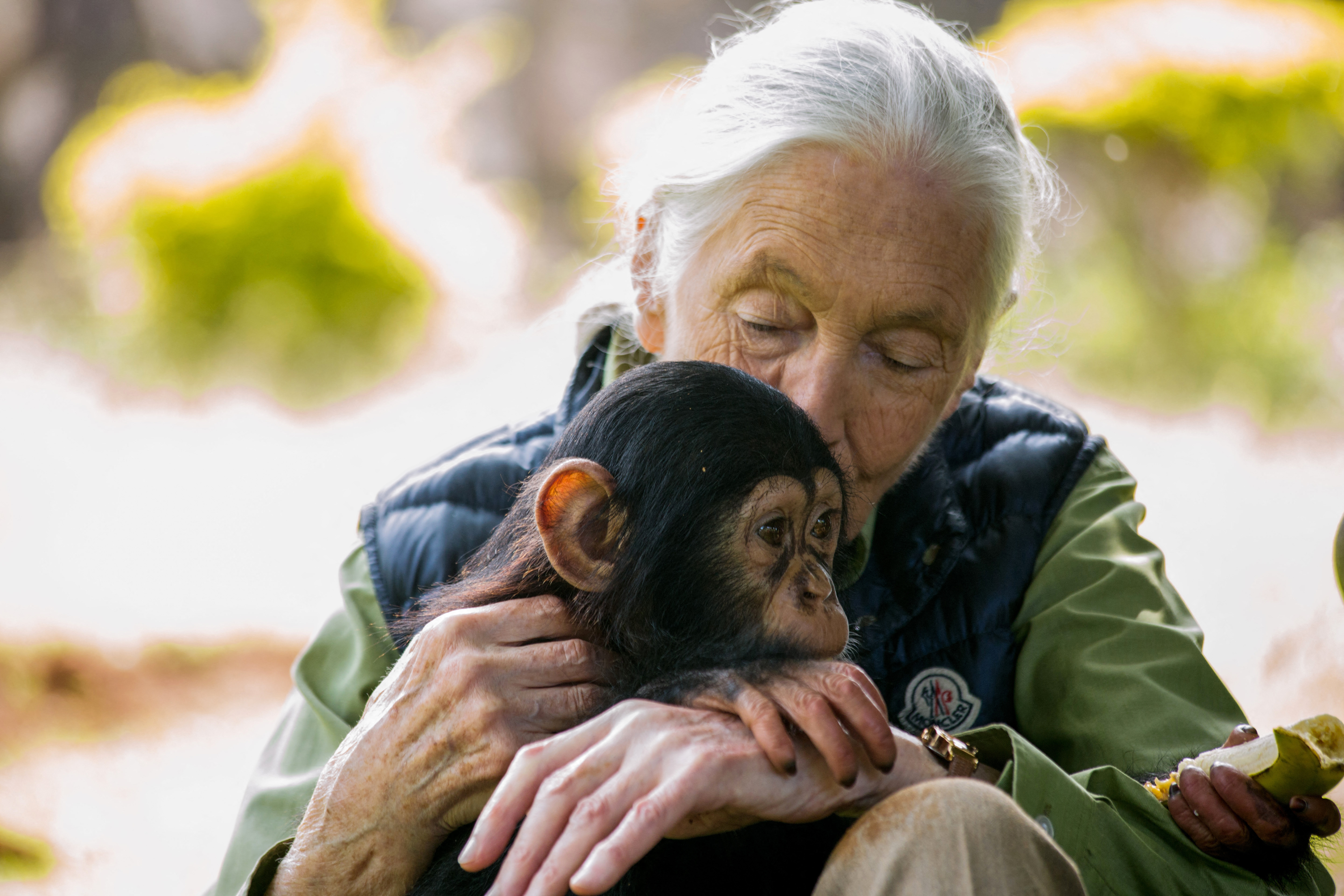 (FILES) British primatologist Jane Goodall visits a chimpanzee rescue center on June 9, 2018 in Entebbe, Uganda.