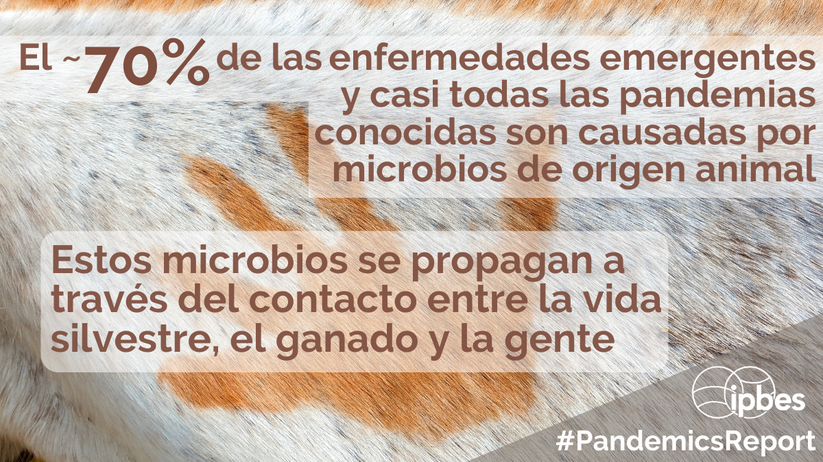 IPBES