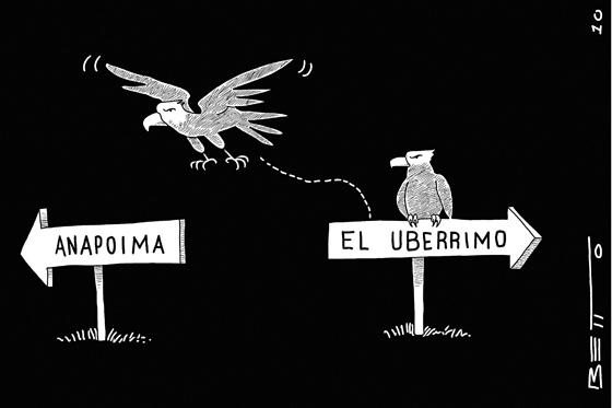 Aves migratorias
