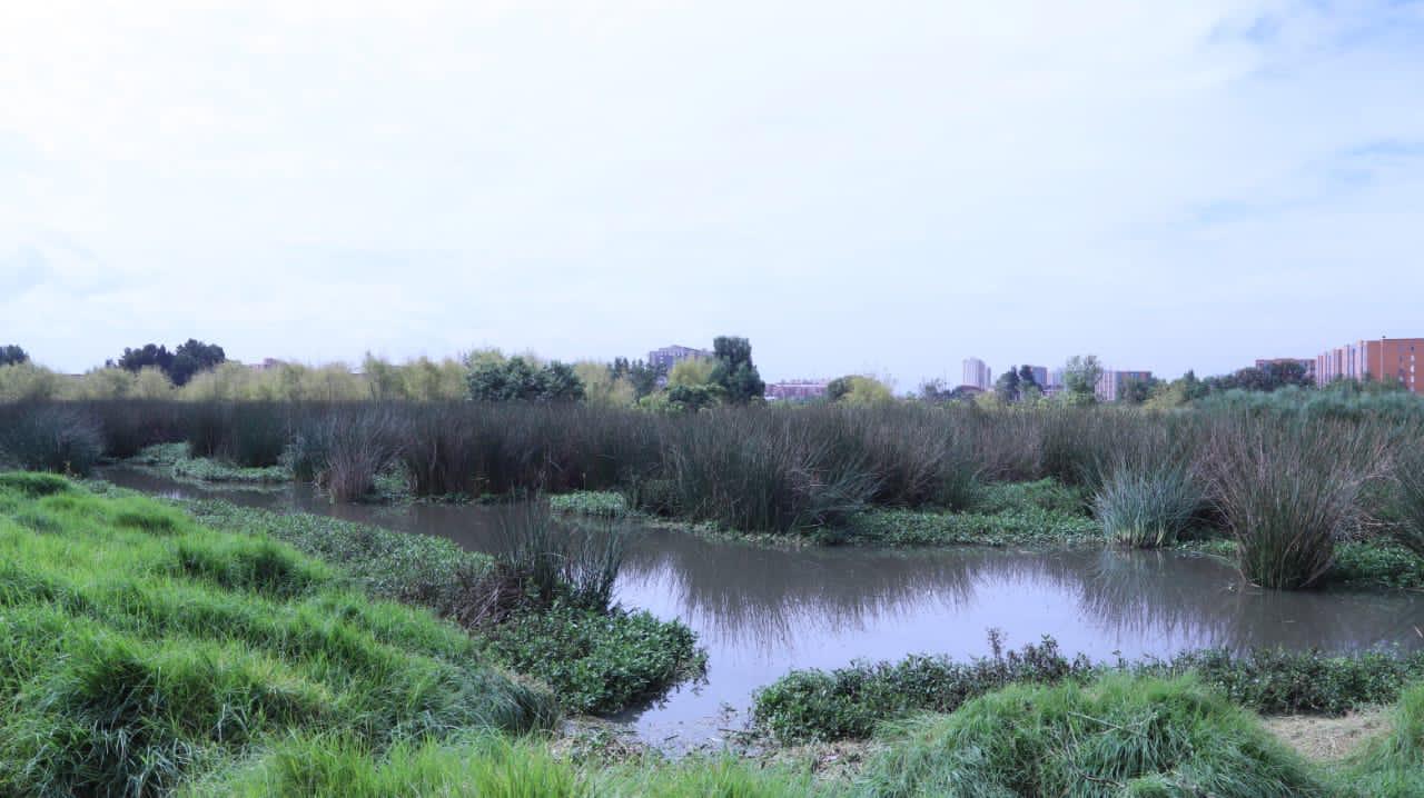 Asociaciones campesinas, a la expectativa por el fallo de la Corte Constitucional sobre baldíos