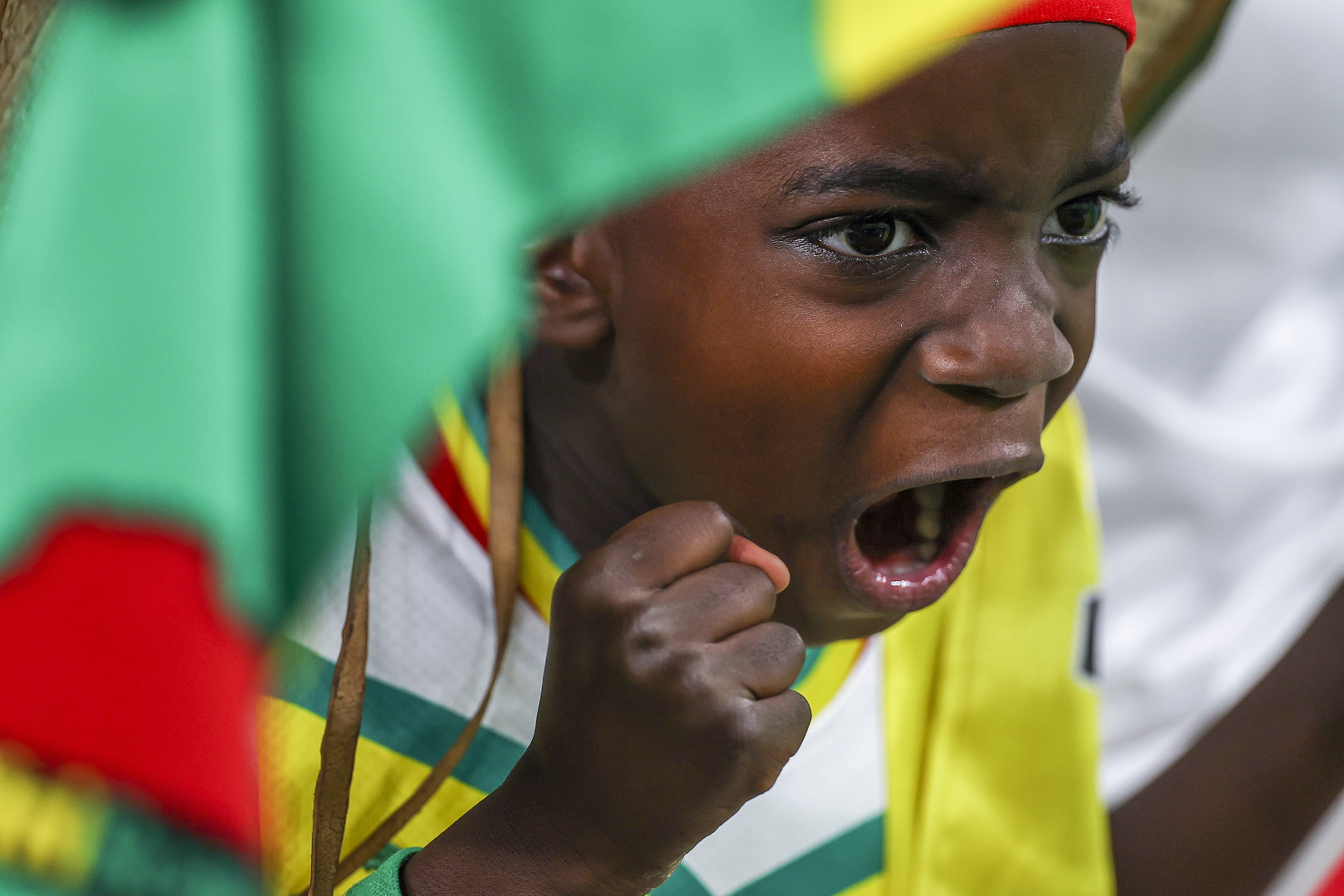 Doha (Qatar), 21/11/2022.- A Senegal supporter cheers during the FIFA World Cup 2022 group A soccer match between Senegal and the Netherlands at Al Thumama Stadium in Doha, Qatar, 21 November 2022. (Mundial de Fútbol, Países Bajos; Holanda, Catar) EFE/EPA/JOSE SENA GOULAO