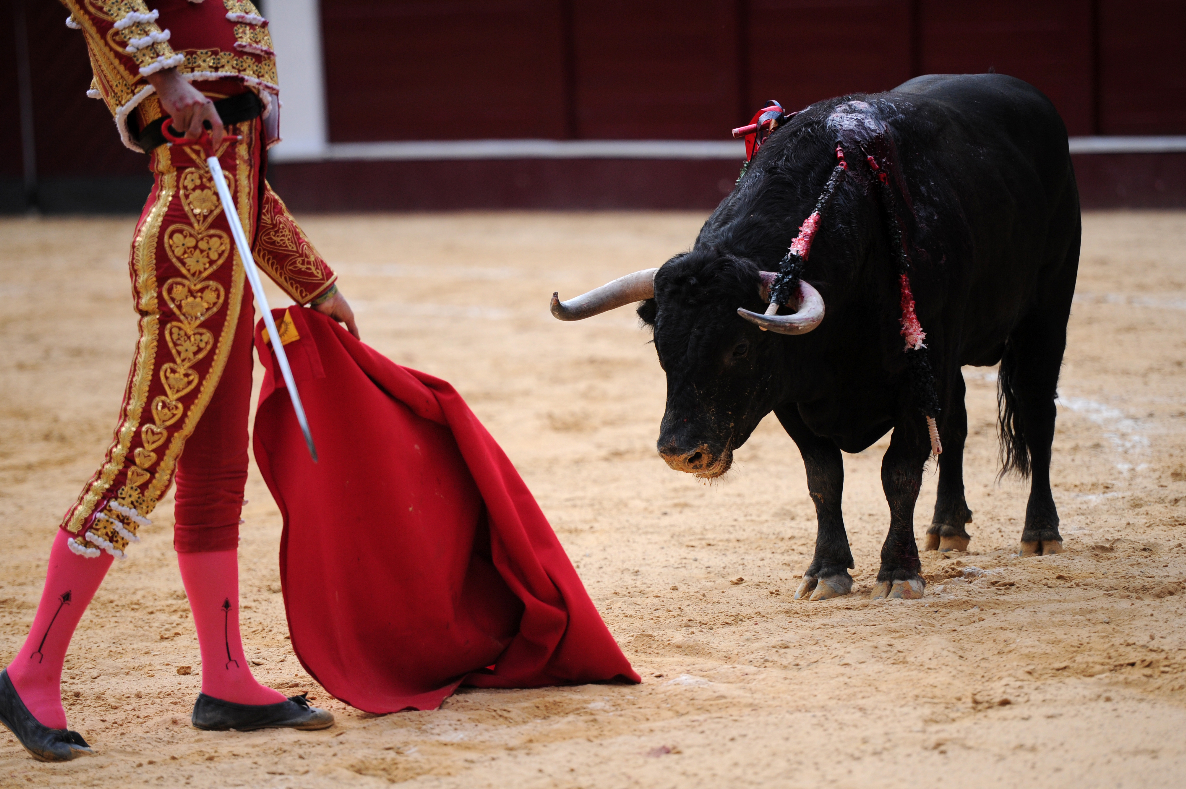 Plaza La Santamaría no podría usarse para corridas de toros