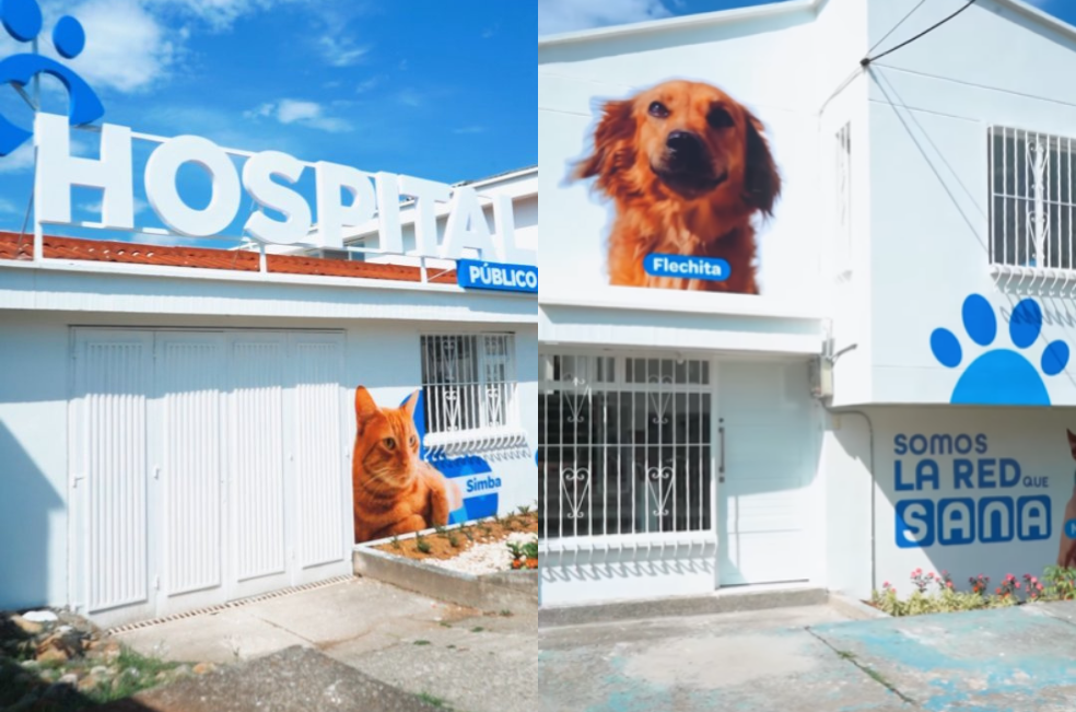 Buenas noticias: Pereira abre el primer Hospital Público Veterinario en Colombia
