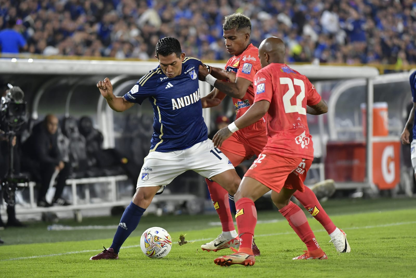 Pereira vs. Millonarios: hora y dónde ver en vivo este duelo clave de Liga BetPlay