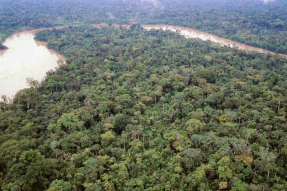 Una nueva declaratoria para proteger 20 áreas naturales de la Amazonia colombiana