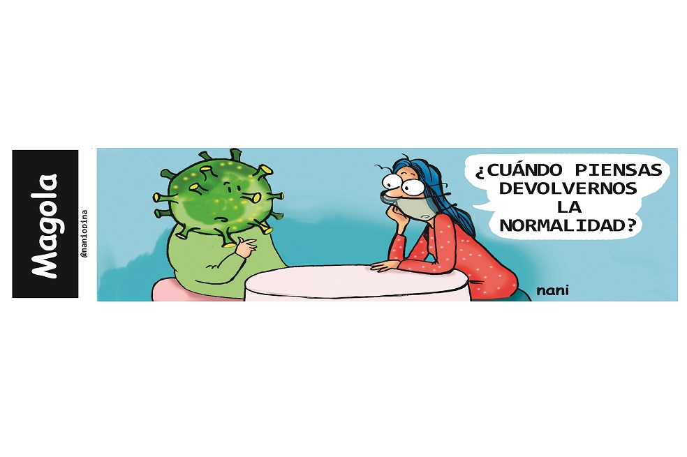El ladrón