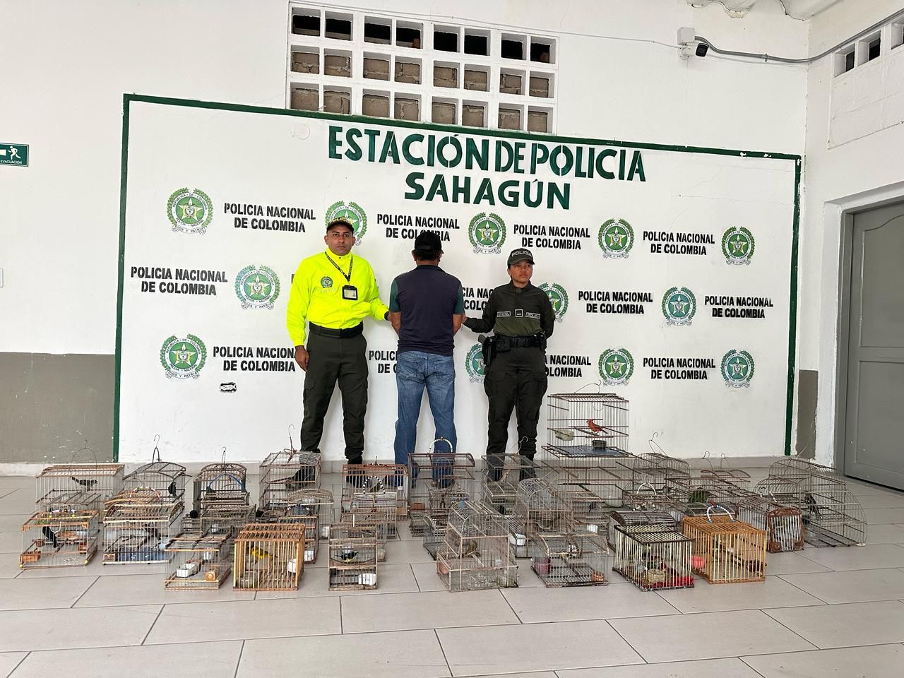 Rescatan 321 animales silvestres en Semana Santa: valían más de $270 millones