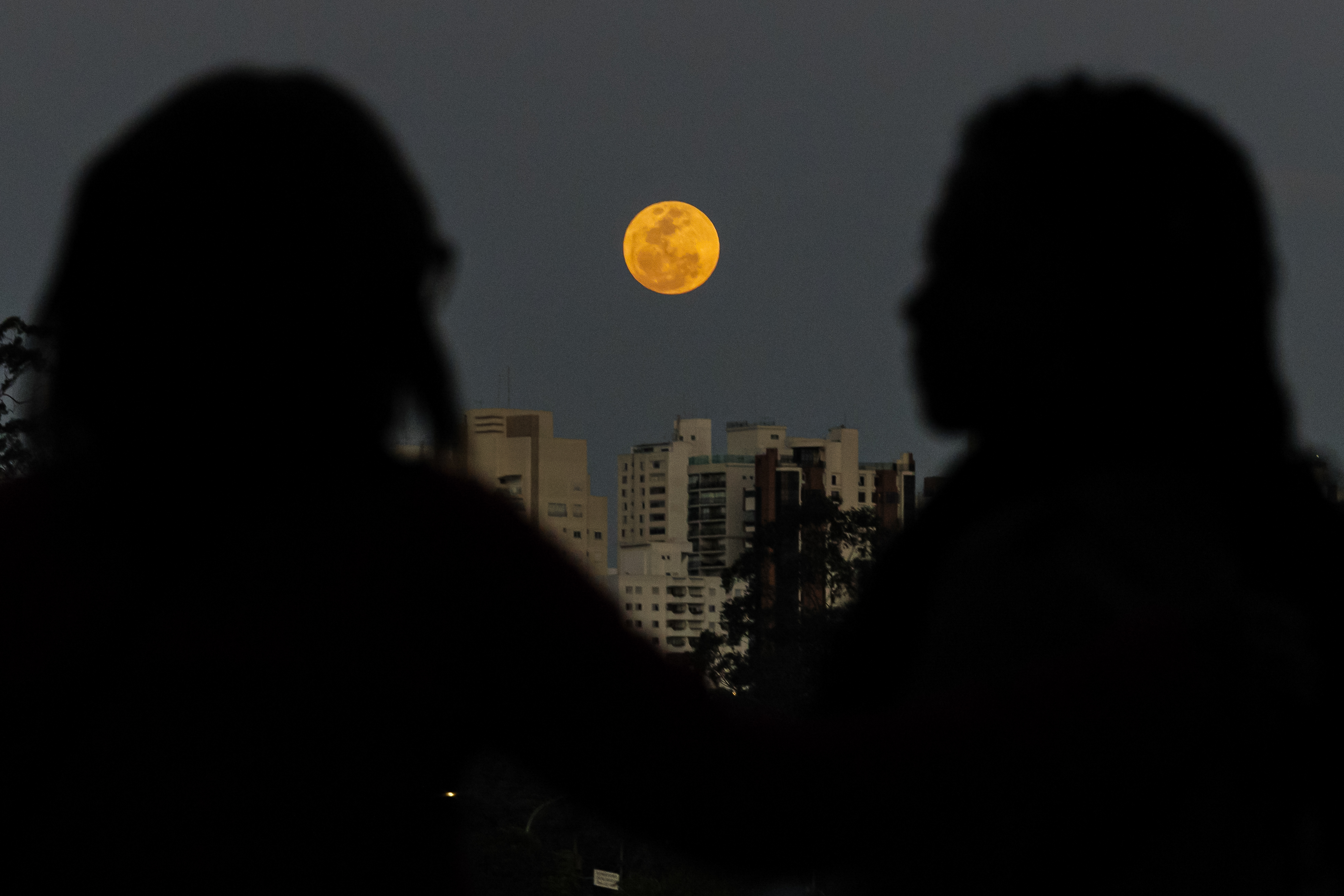 AME5446. SAO PAULO (BRASIL), 30/08/2023.- Fotografía de la superluna azul, hoy en la ciudad de São Paulo (Brasil). La próxima luna azul será en 2026, pero no será superluna, suceso para el que habrá que esperar hasta el año 2037. EFE/ Isaac Fontana