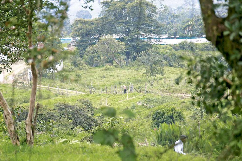 ‘La esperanza de retornar’
