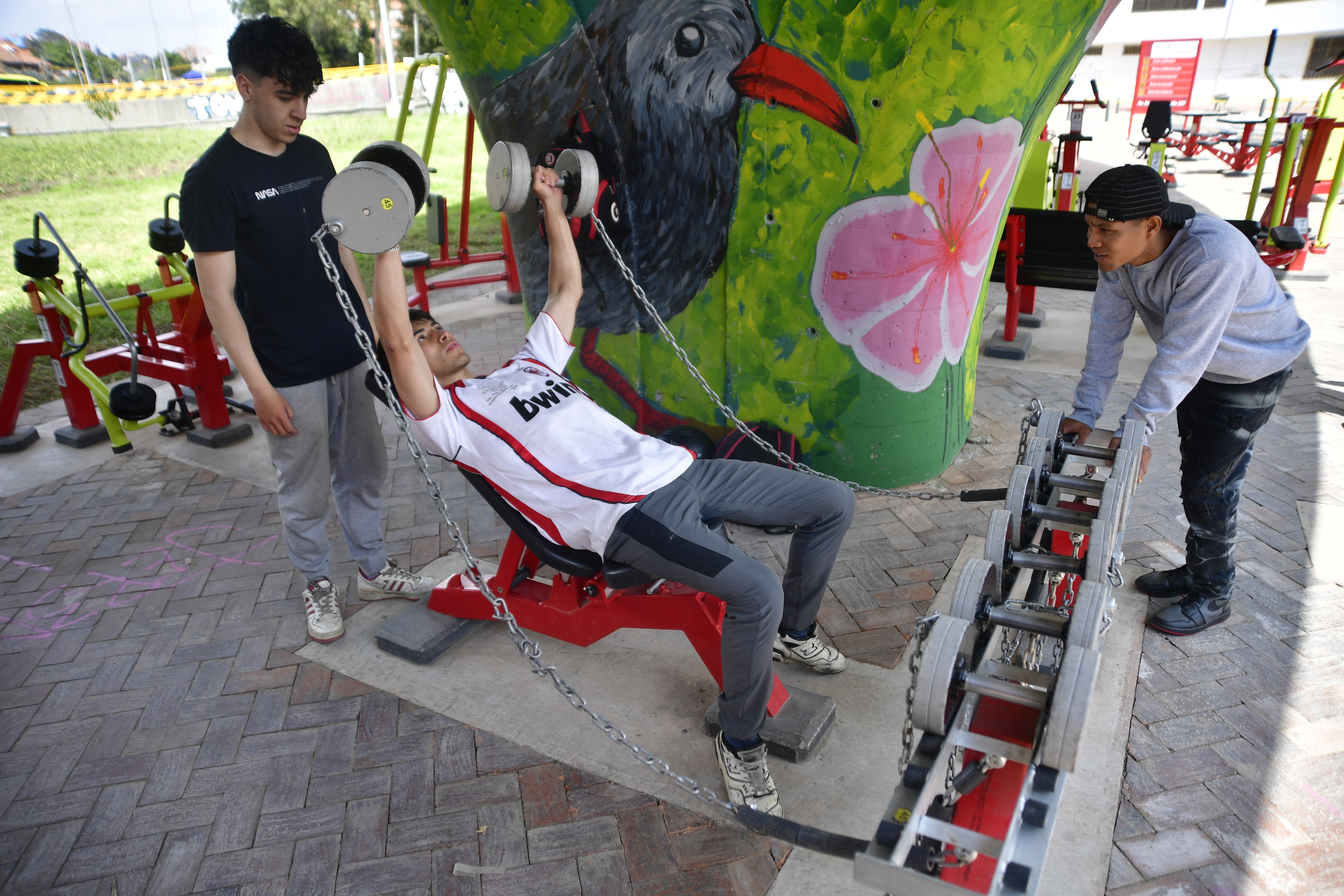 Gimnasios al aire libre: templos de actividad física y apropiación del espacio