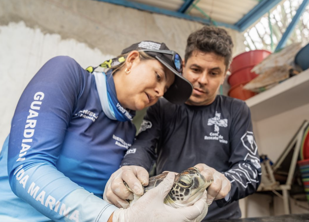 “Como veterinario vives para, por y de los animales y es lo más hermoso”: Ángela Davila