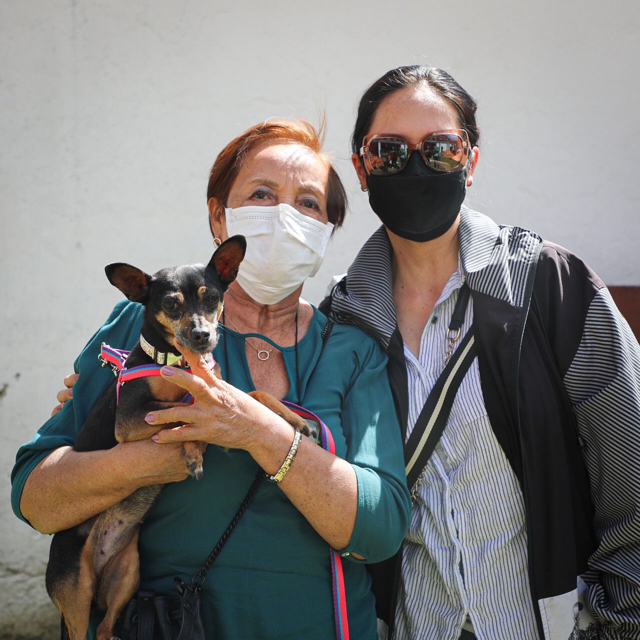Las mascotas pequeñas suelen ser más adecuadas para apartamentos o casas pequeñas.