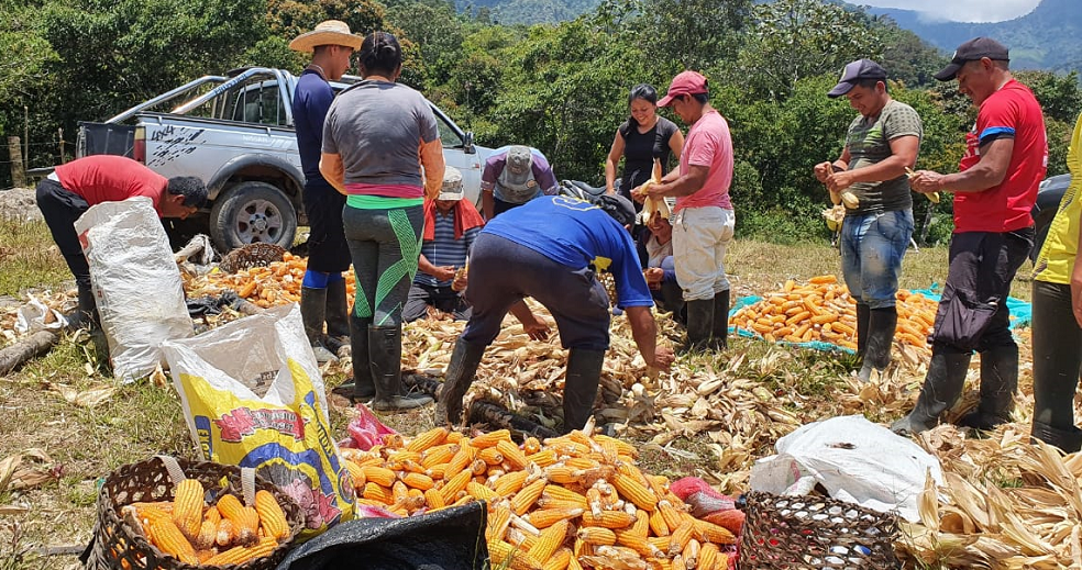 En zonas PDET, respaldo de la comunidad a la reincorporación de Farc llega al 80%