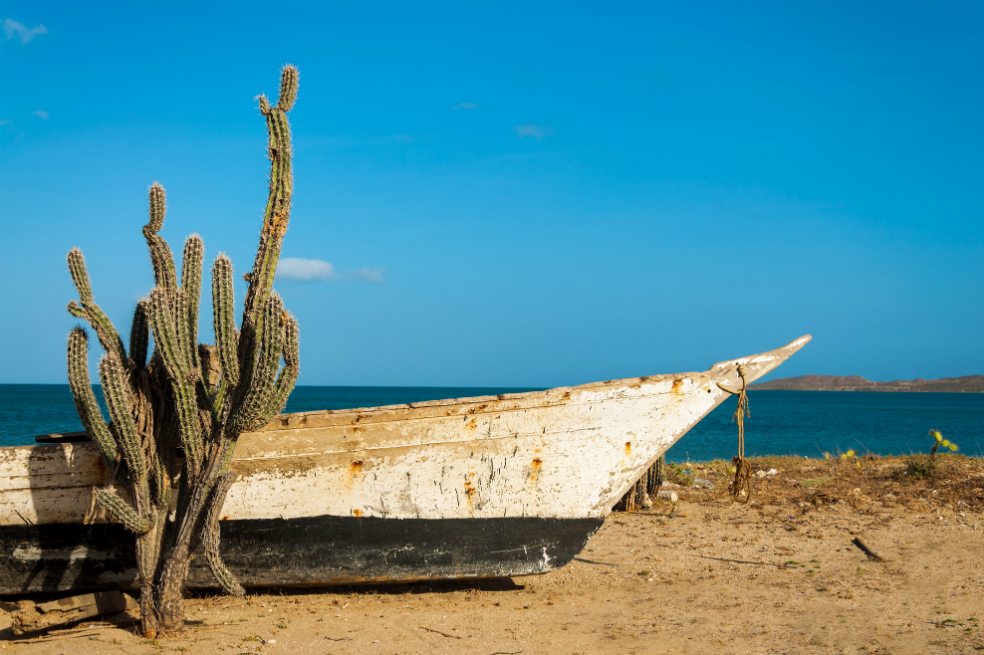 Histórica jornada de limpieza que transformó el Cabo de la Vela