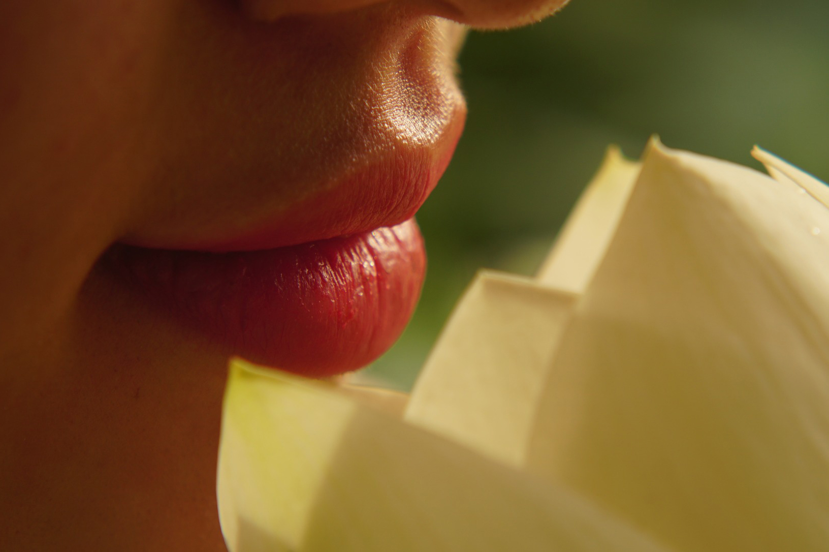 ¿Labios secos en cuarentena? Consejos para cuidarlos