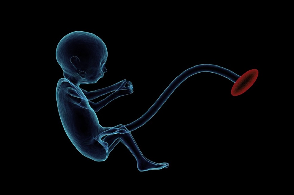 Nuevo análisis de sangre podrá diagnosticar trastornos genéticos desde las primeras semanas de embarazo