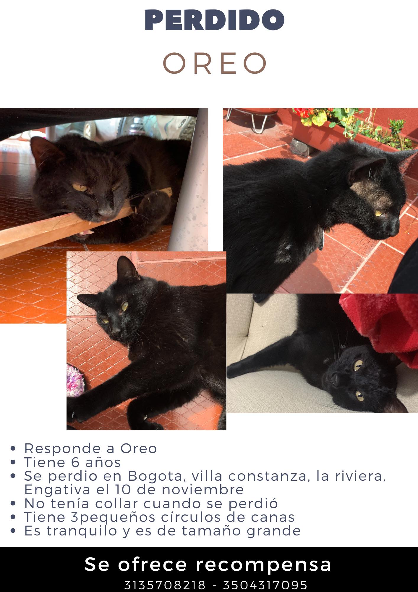 La Red Zoocial