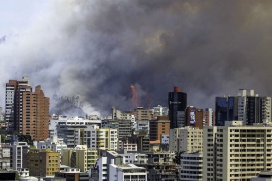 AFP