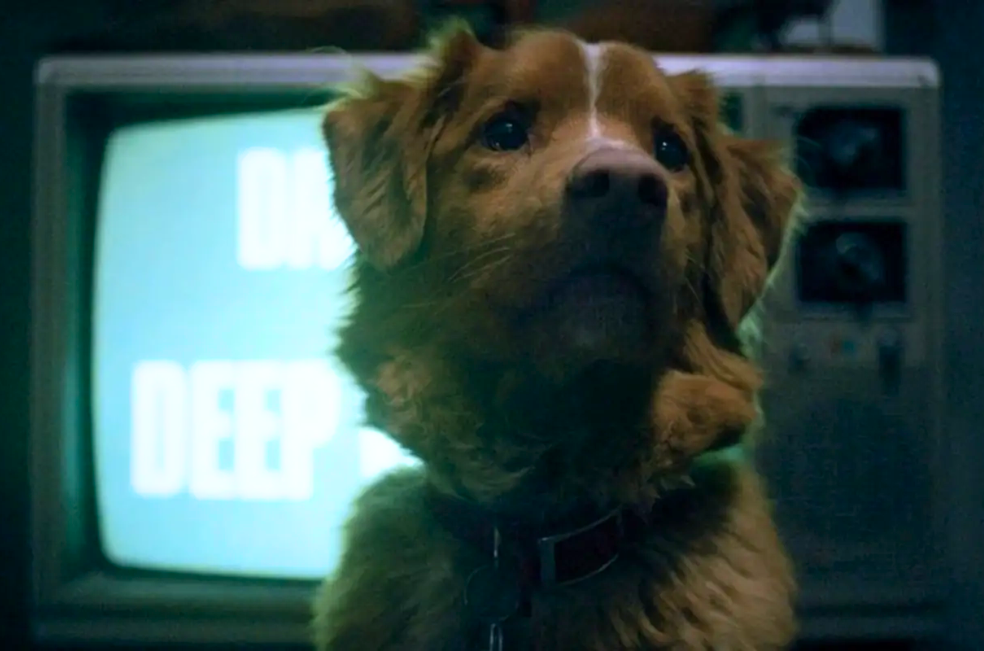 Good Boy, la nueva película de terror que protagoniza un perro: estreno y detalles