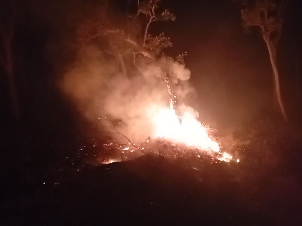 Incendios han dejado cerca de 17.000 hectáreas afectadas en área protegida en Arauca