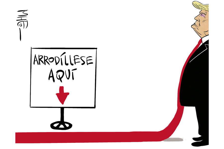Alto turmequé: sobre el fin del mundo, negociaciones y posdatas