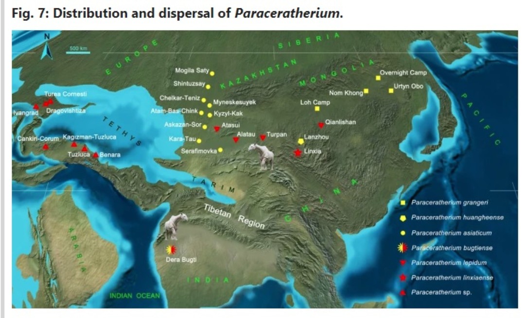 Posible distribución del "Paraceratherium linxiaense".