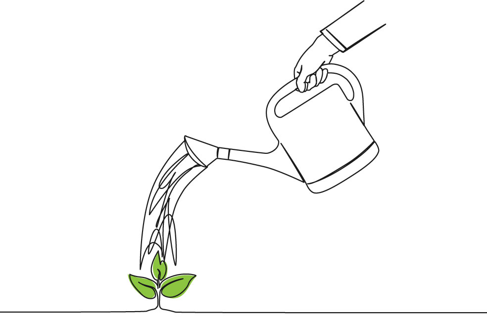 Nos vamos de vacaciones: entonces, ¿quién riega las plantas?